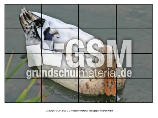 Puzzle-Ente-Lilly-3.pdf